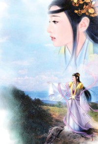 明星助理上位记